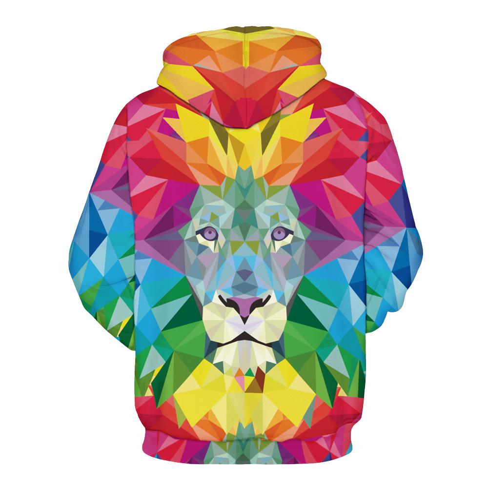 Colorful Lion Pullover Unisex Hoodie Sweatshirt
